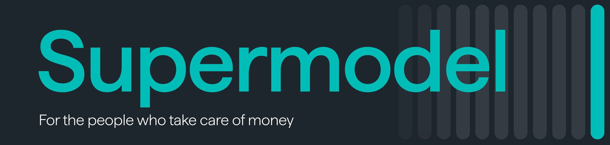 Carne - newsletter banner AW 2500x596px_Turquoise
